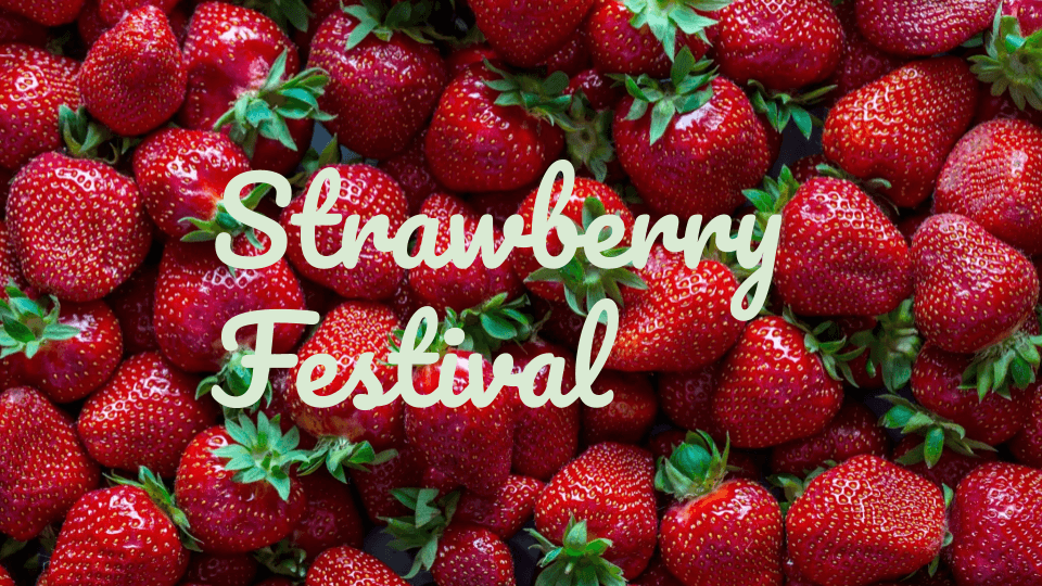 2nd Annual Strawberry Festival